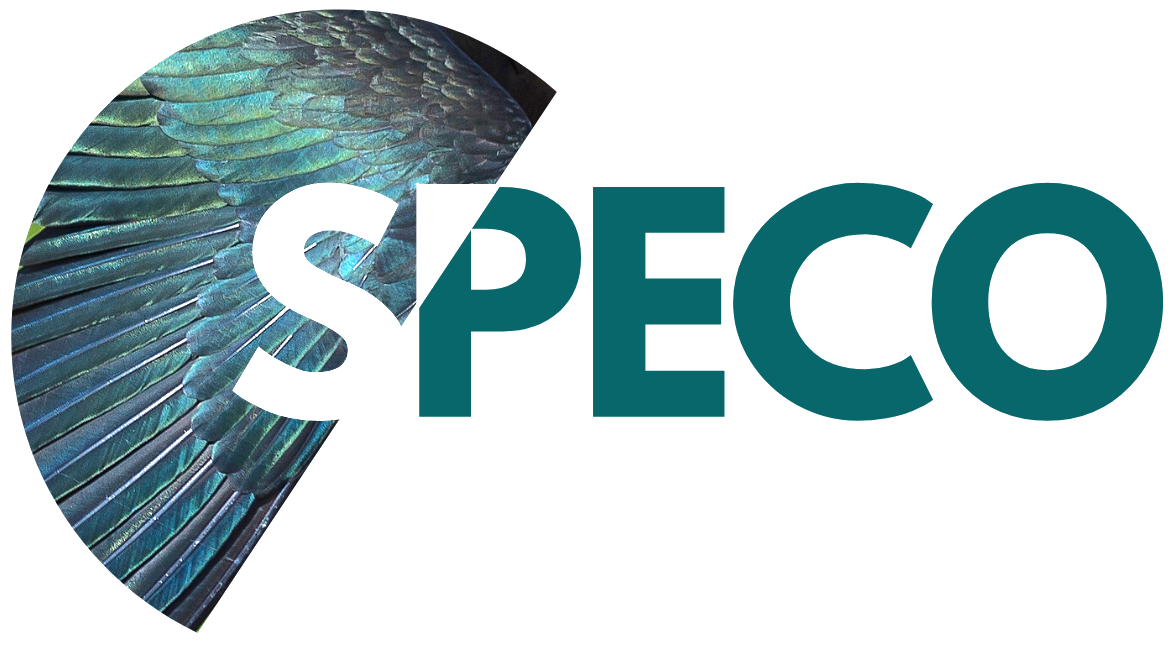 logotipo da SPECO